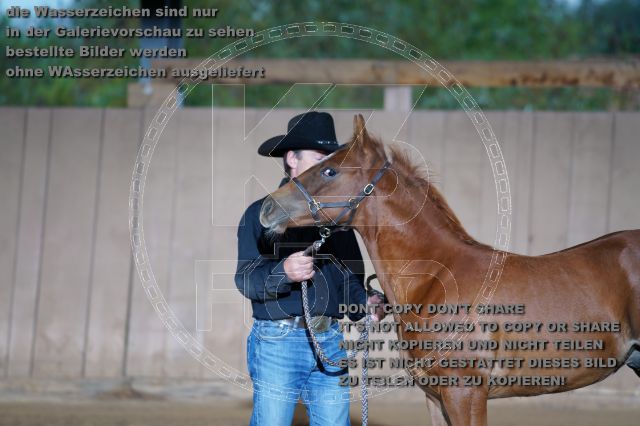 s_K3F04658.JPG